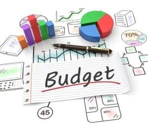Budget with graphs